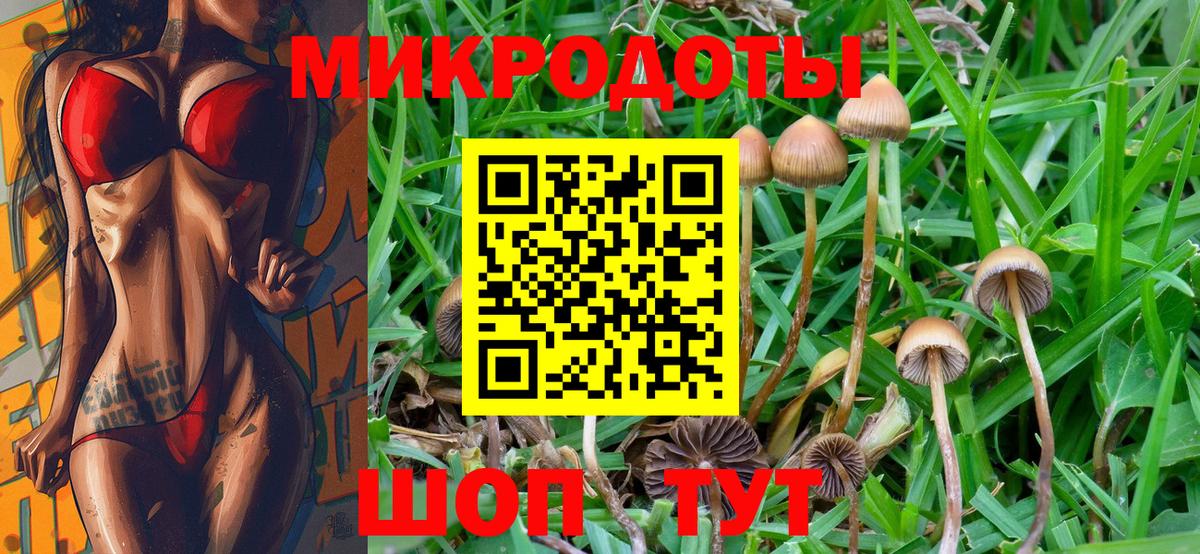 купить закладку  Псилоцибиновые грибы прущие грибы  Вход с VPN  Сунжа  Галлюциногенные грибы Cubensis 