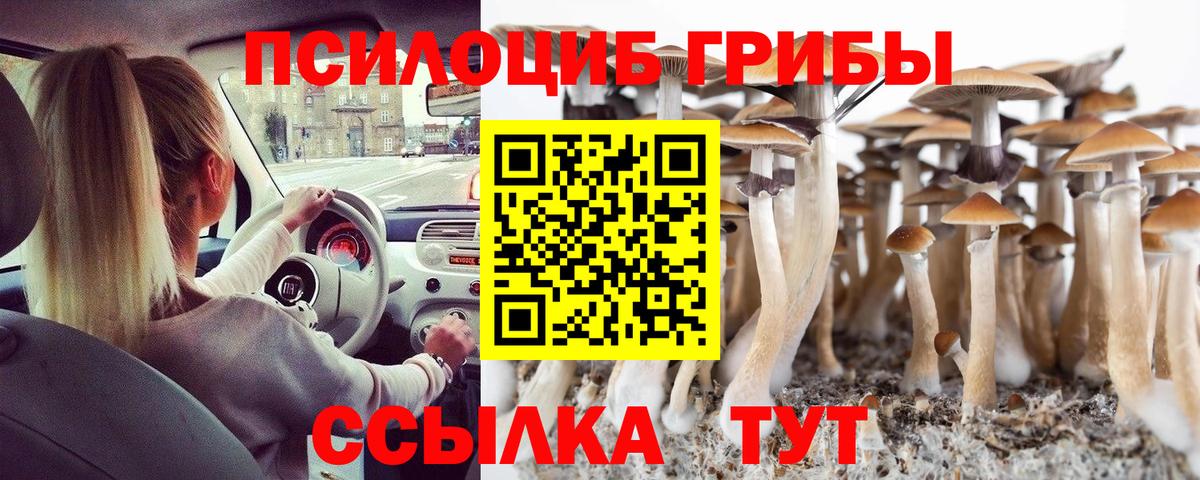 Псилоцибиновые грибы Cubensis Сунжа